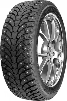 Antares Grip 60 ice 255/55 R19 111H