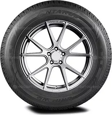 Antares Grip Winter Plus 245/45 R20 99T