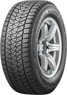 Bridgestone Blizzak DM V2 285/45 R22 110T