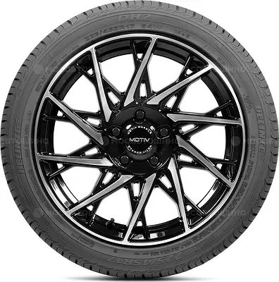 Delinte DH2 245/35 R21 96Y