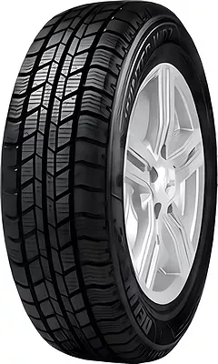 Delinte WD2 235/65 R16C 115/113S