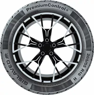Gislaved Premiumcontrol 215/60 R16 95V