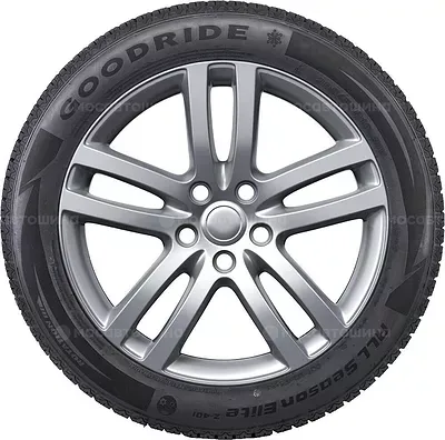 Goodride All Season Elite Z-401 225/55 R19 99V