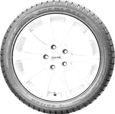Sailun Ice Blazer WST1 (Нешип) 215/75 R16C 113/111R