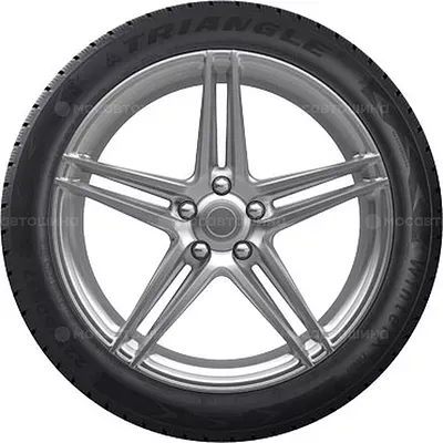 Triangle TW401 WinterX 245/45 R19 102V XL